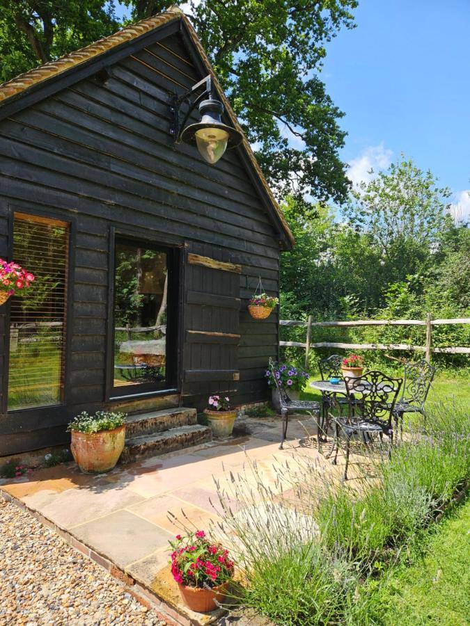 Gatwick Hideout Apartment Charlwood Ngoại thất bức ảnh